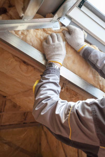 Best Insulation Maintenance and Repair in Hughes Springs, TX